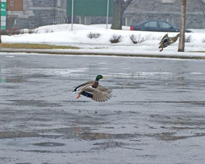 Takeoff!