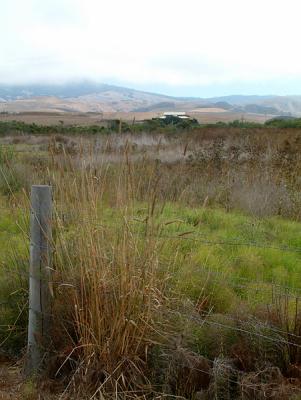 sansimeoncreek8.jpg