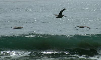 sansimeoncreek9.jpg