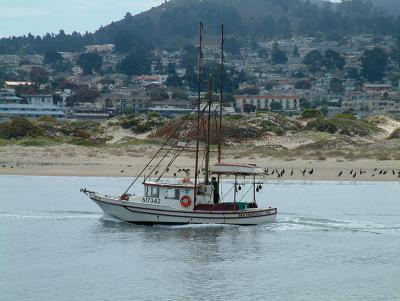 morrobay1.jpg