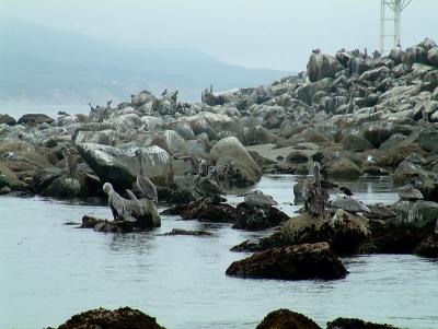 morrobay2.jpg