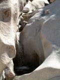 jtreespringcreek8.jpg