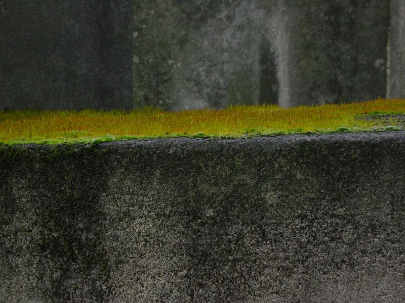 La Ligne Verte