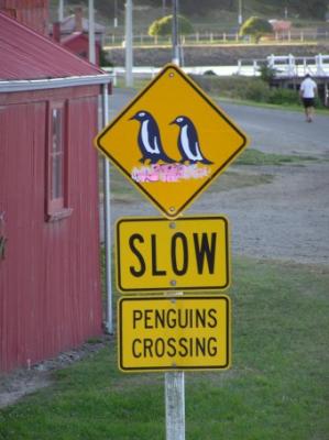Oamaru - Pingus-Crossing.jpg