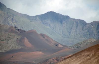 62-Vegetation on the Kalapawili Ridge