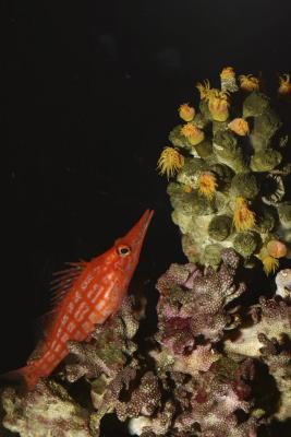 Seattle Aquarium