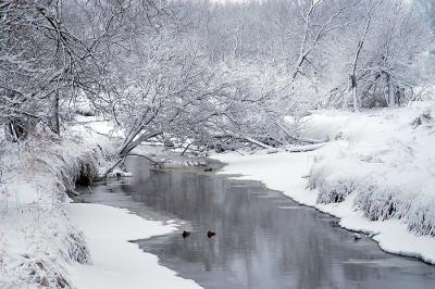 Snow-lined Creek (revisited)