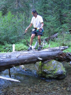 Another creek crossing