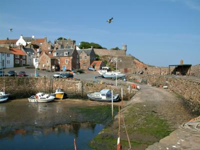 Crail Harbour View