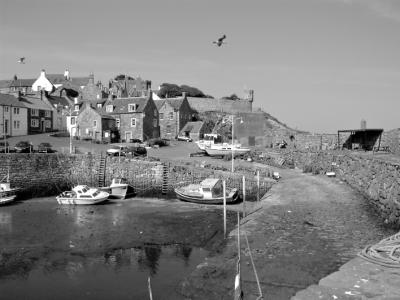 Crail Harbour View bw