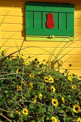 Pineapple Window