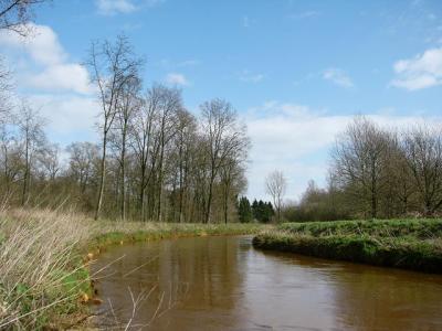 P1000486(1).JPG