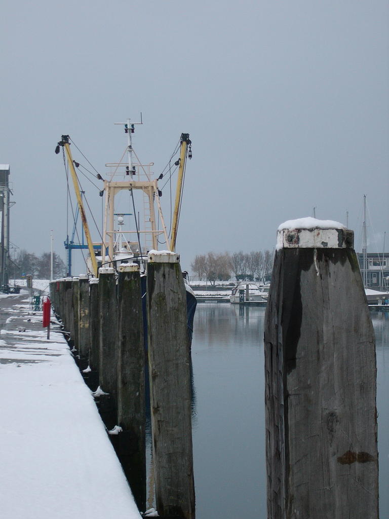 P1000328(1).JPG