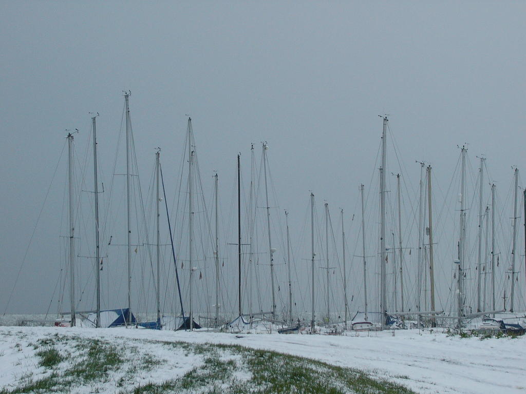 P1000329(1).JPG