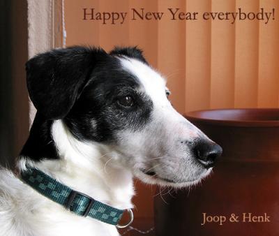 Joop's Dog Log - Dec 31