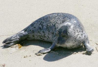 IMG_3366 coast.jpg