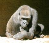 IMG_3275wa.jpg