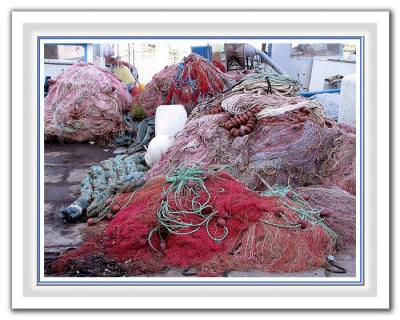 Fish Nets