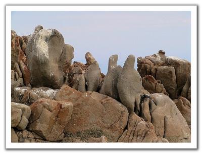On The Rocks