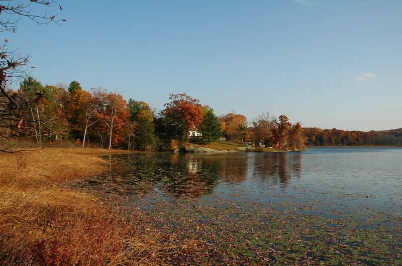 u41/hman/upload/35949109.DSC_0139_resize.JPG