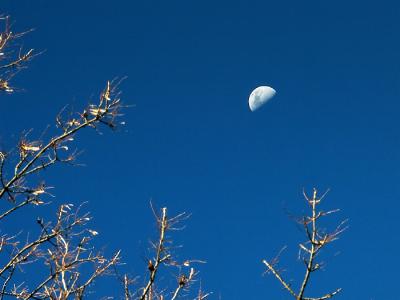 Late Afternoon Moon
