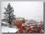 Bryce Canyon Nat. Park, UT