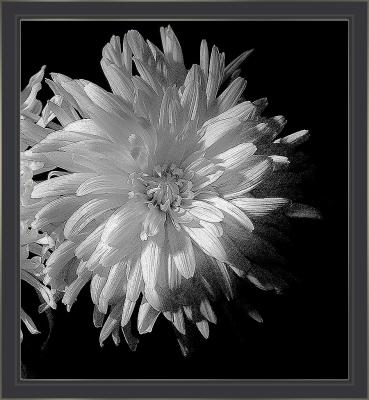 studio_macro