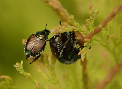 DSC_4762.jpg