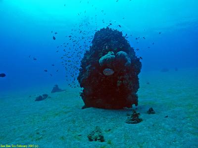 Underwater scenery