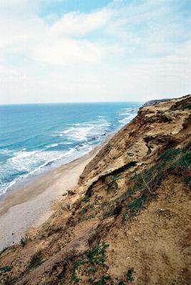 u41/ilanphoto/medium/27055334.68820210136pb.jpg