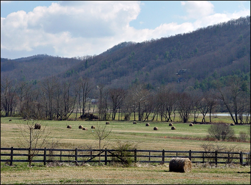Cane Creek Road