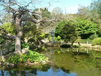 Japanese Tea Garden