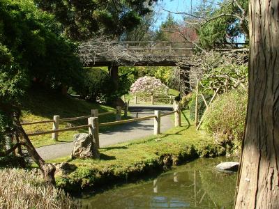 Bridge - Japanese Tea Garden