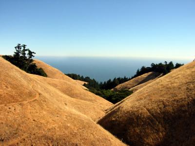 Coastal Trail, Mount Tamalpais