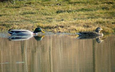 Img_6876 small.jpg