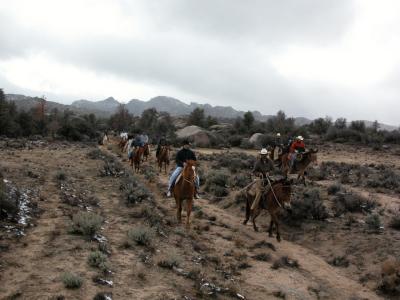 Ricardo leading Homayon's horse