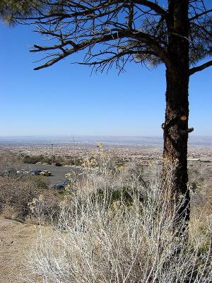 img_2118_std.jpg
