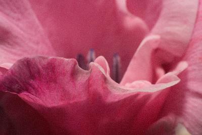 CRW_7631w.jpg