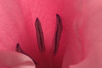 CRW_7632w.jpg
