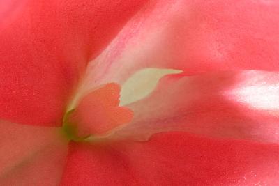 CRW_7644w.jpg