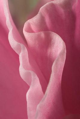 CRW_7650w.jpg