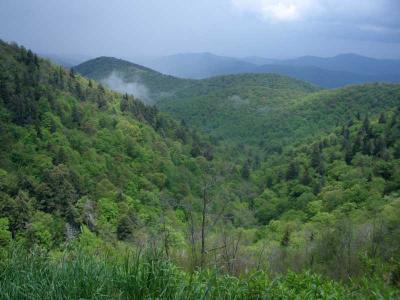u41/jfosterpbase/medium/33290977.temp3journalpictures2004springblueridge1_web.jpg