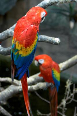 CRW_1115.jpg
