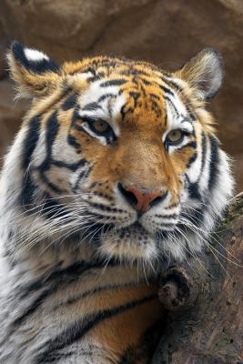 CRW_1227.jpg