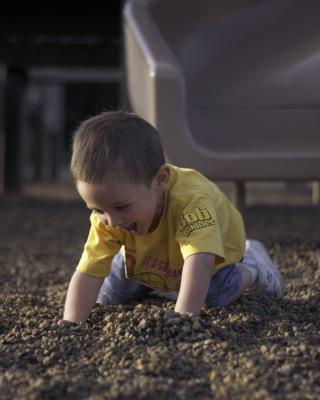 CRW_7712rs.jpg