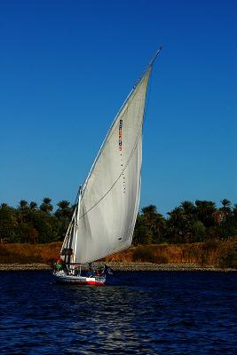 IMGP1049.jpg