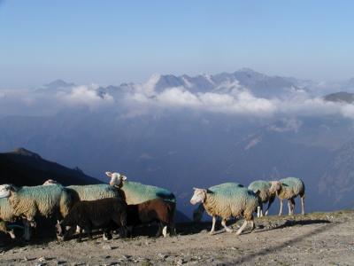 Tourisme d'altitude