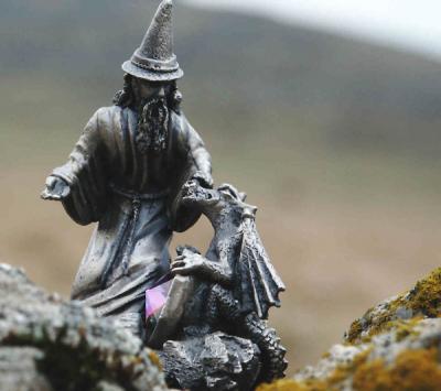 Merlin on the Moor