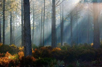DSC_2005-22-01-05-LightGame.jpg