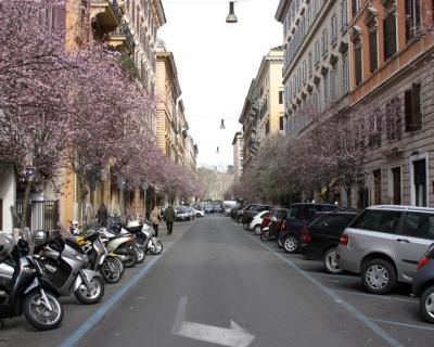 Street.jpg